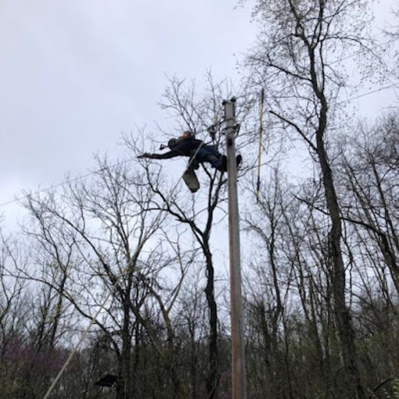 Meet your Posher, Cameron - Picture 1 of 1